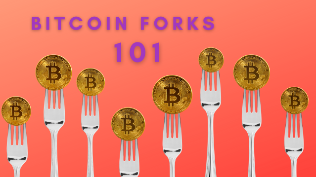 What Is a Bitcoin Fork?