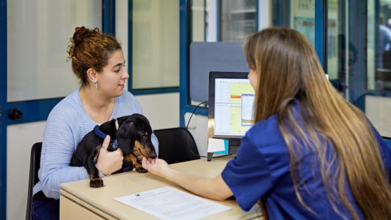 Understanding Pet Insurance Policies